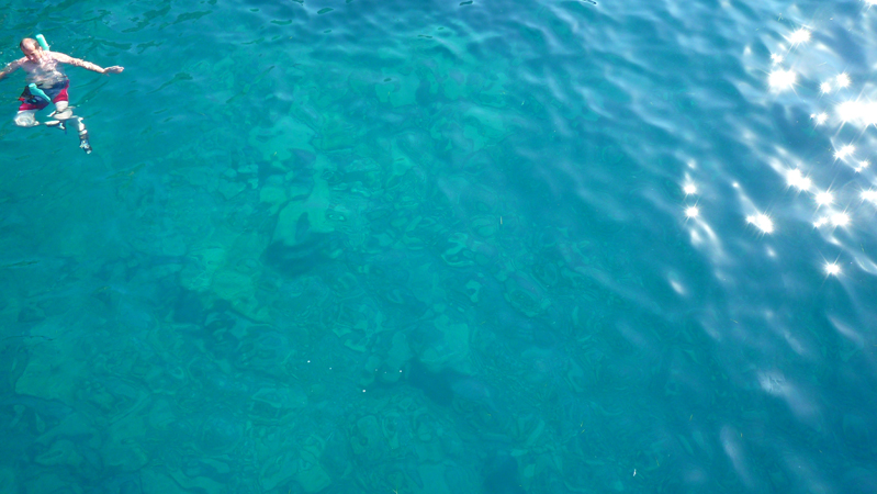 12 Island Boat Trip (94)